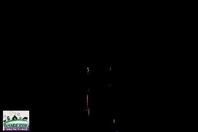 image from 2024