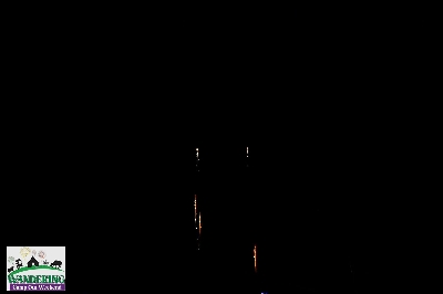 image from 2024