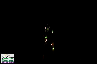 image from 2024